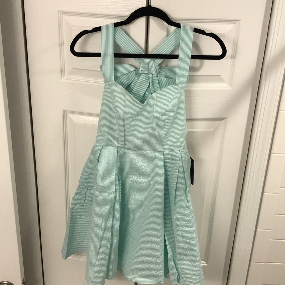 NWT Lauren James Seersucker Dress